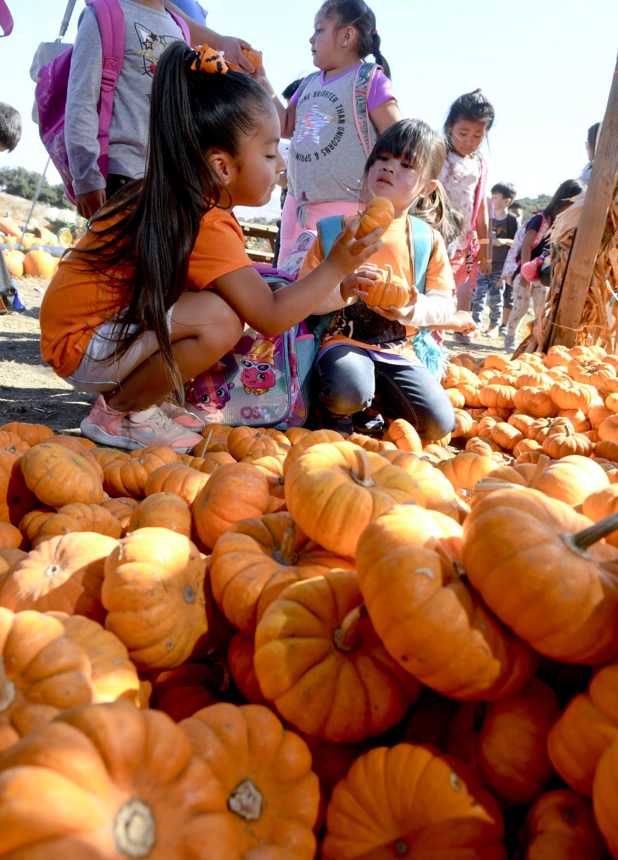 101119 The Patch 02.jpg